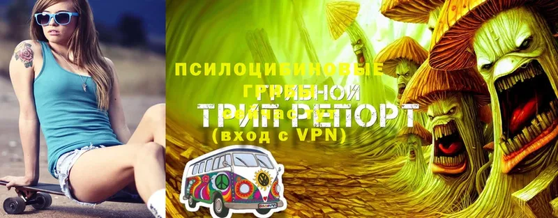 Псилоцибиновые грибы MAGIC MUSHROOMS  Тольятти 